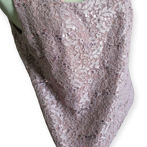R&M Richards Lace & Sequin Tank Top, Mauve, Size 12 - Picture 6 of 9
